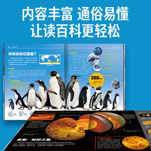 中国少儿百科知识全书 商品图5