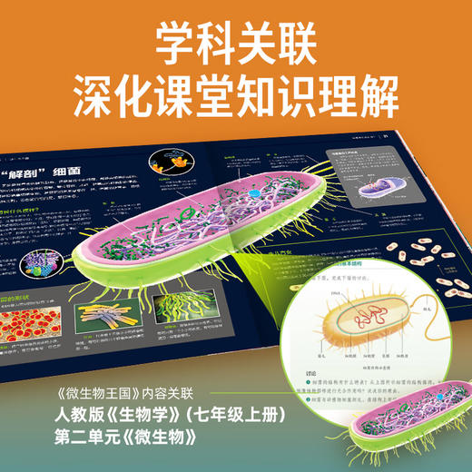 中国少儿百科知识全书 商品图4