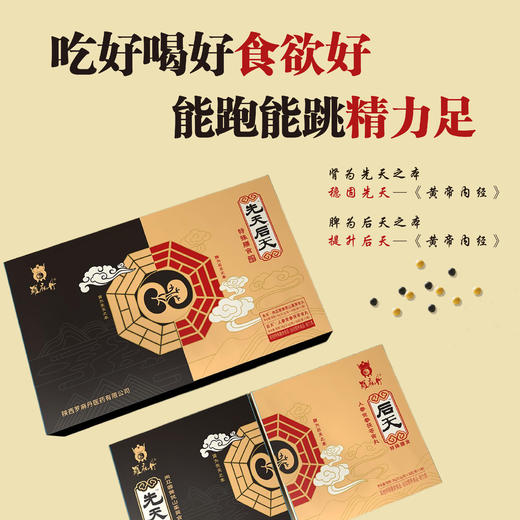 先天后天人参党参茯苓食丸肉苁蓉黄芪山茱萸食丸 商品图1