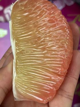 【进口】＃Medusa泰国香槟金丝柚#柚香赛过任何一个品种的柚子，丝丝饱满，清甜水嫩，回味清冽，清新口气，解腻消食。