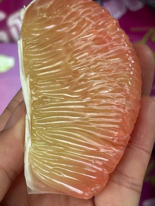 【进口】＃Medusa泰国香槟金丝柚#柚香赛过任何一个品种的柚子，丝丝饱满，清甜水嫩，回味清冽，清新口气，解腻消食。 商品图0