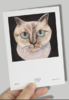 喵内明信片 圆融猫bj 商品缩略图0