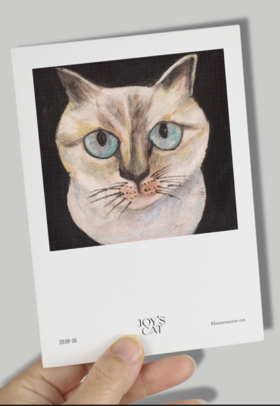 喵内明信片 圆融猫bj