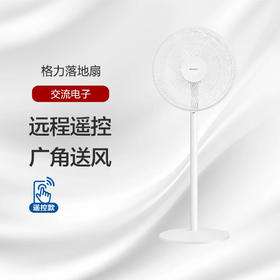 GREE格力 落地扇 3档风速 远程遥控 广角送风 FD-40X78Bh5