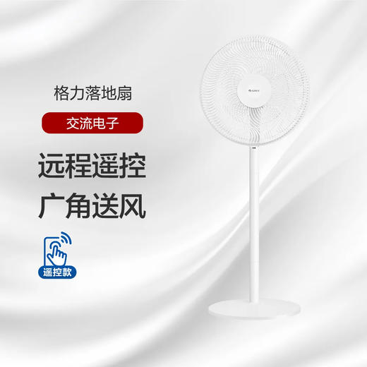 GREE格力 落地扇 3档风速 远程遥控 广角送风 FD-40X78Bh5 商品图0