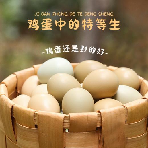 冠天骄七彩野鸡蛋 商品图2