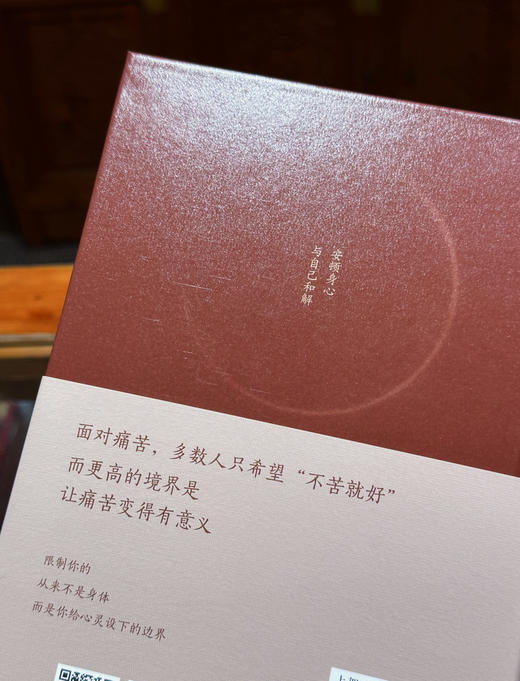 你的脆弱很正常 心灵作家索达吉2026年全新重磅力作疗愈实操的书 告别焦虑停止内耗脆弱不是缺陷而是重生的契机 商品图2