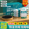 【除湿利器❗️防潮除湿袋】高效吸湿活性炭，快速吸附空气中多余水汽，告别潮湿黏腻，持续稳定发挥作用，不用频繁更换，家用室内衣柜吸湿盒回南天除湿神器L 商品缩略图0