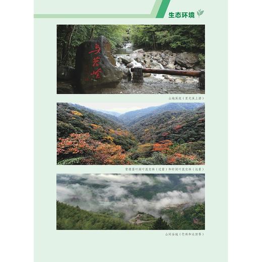 浙江乌岩岭国家级自然保护区综合科学考察与研究/国家自然保护地生物多样性丛书/雷祖培 刘宝权 刘西 主编/浙江大学出版社 商品图2