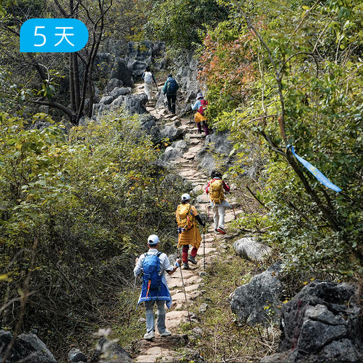 漓江50公里精华版徒步｜高口碑户外路线 多重户外花样玩法 16人小团 5日 商品图14