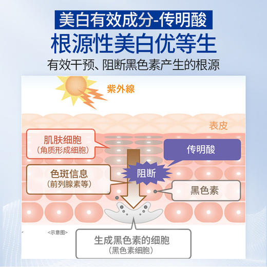 原价 800 一套‼️特价不到三折‼️传明酸鼻祖✨临期特价【TRANSINO传皙诺美白焕颜修护面霜/水乳】持美白淡斑特证👉🏻 高浓度传明酸 + 专利KPA🏆源头击破黑色素⚡斑点粉碎机 商品图3