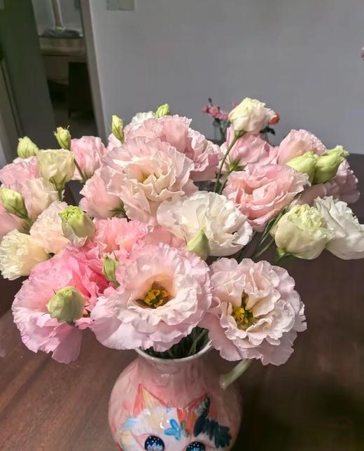 肉粉洋桔梗800克 商品图0