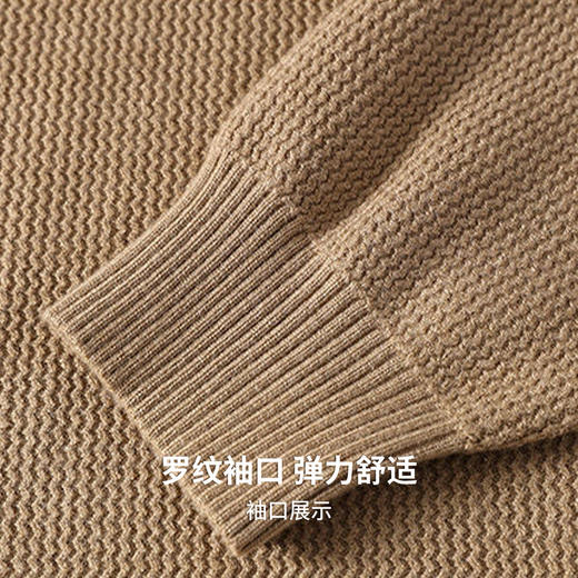 【不易起球】圣得西针织衫男款2026新款春季简约休闲假两件薄毛衫 商品图7
