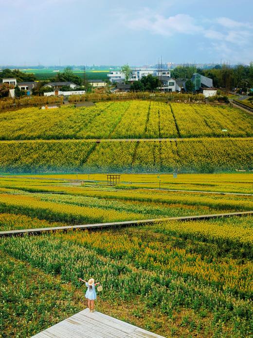 【春日出游·6折享】¥1480起住4房/5房/6房别墅！春日踏青徒步，平时周末通用！邛崃112号院，设计师精品民宿，千亩油菜花田，dx 商品图4