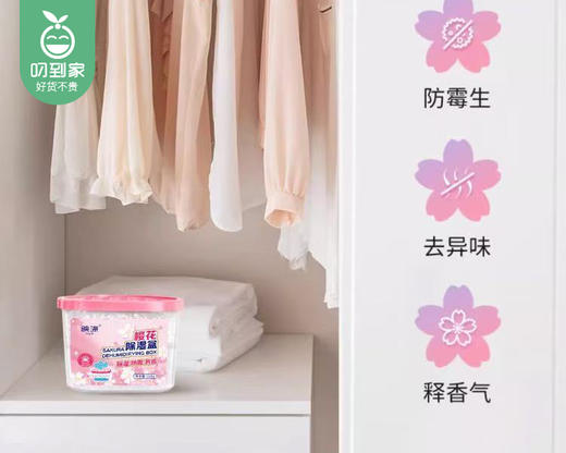 【预售-4月8日配送】【到手6盒】映涤樱花除湿盒/1份（230g*6盒） 商品图3