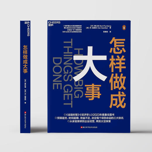 怎样做成大事  揭示决定每个项目命运的惊人因素 商品图2