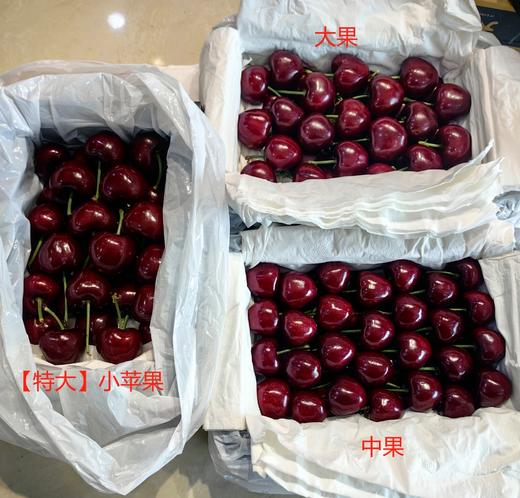 大连美早樱桃国产车厘子顺丰包邮 商品图3
