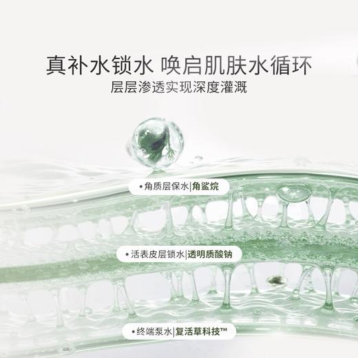 【第二代复活草面膜】强韧补水修护退黄 补水锁水紧致抗皱（面膜*10） 商品图2