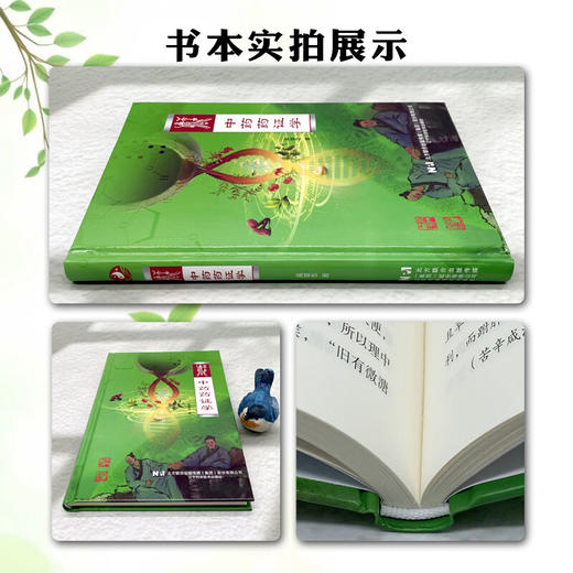 中药药证学 吴雄志 著 对临床精准用药有显著的指导作用 详细讲述了每一经代表药物的特征性药证 9787559136268辽宁科学技术出版社 商品图2