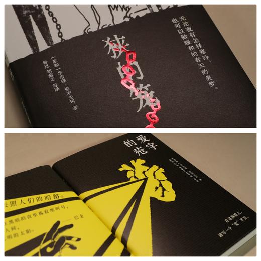 《狭的笼》《爱字的疮》（爱罗先珂童话全两册） 商品图2