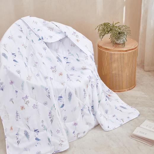 梦洁 清怡润肤空调被 商品图2