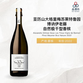 2022 Alexandre Grimee Sous Les Trous Vigne de Bonneil Brut Nature 亚历山大格里梅苏莱特鲁园博讷伊老藤自然极干型香槟