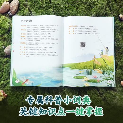 【9岁+】【遇见自然】水生植物的生存智慧 商品图4