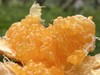 生态春见耙耙柑 产地：四川蒲江 【基地直发】承运：顺丰快递 商品缩略图1