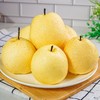 山西女皇蜂蜜贡梨【29元5斤】丨果肉饱满多汁 皮薄肉厚 商品缩略图1