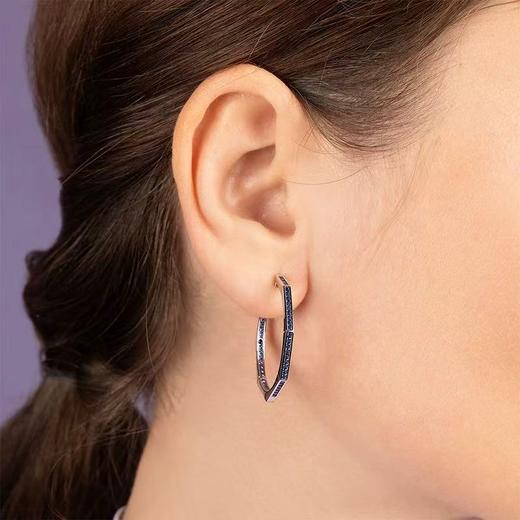 【不退不换，介意勿拍】APM Monaco 耳饰  AE16852KB-F 商品图1