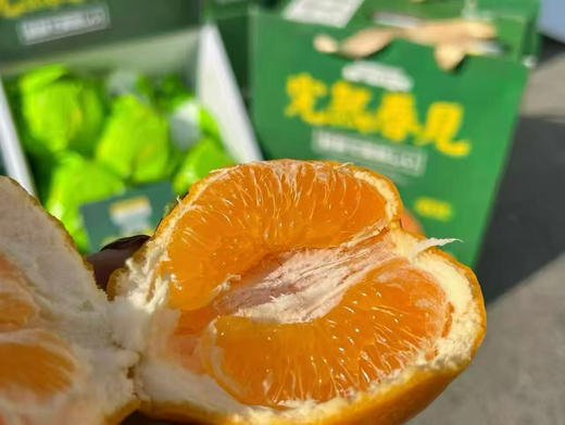 春见🧐又到一年甜蜜春见时刻🍊——春见耙耙柑一直做顶尖🍊的领头羊口感自然是没的说[色]超完美💯 商品图1