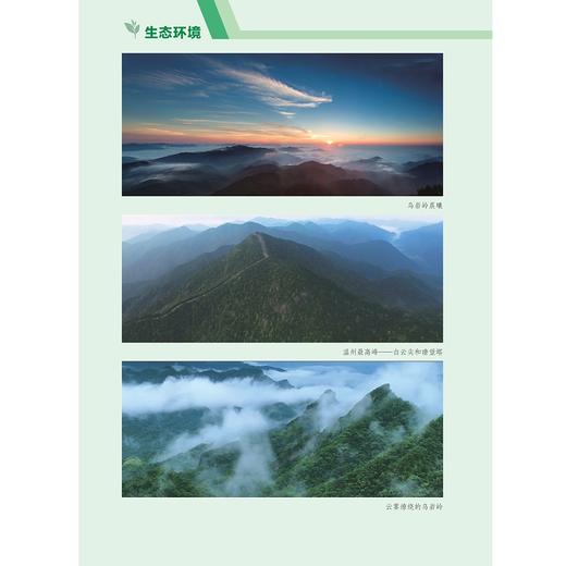 浙江乌岩岭国家级自然保护区综合科学考察与研究/国家自然保护地生物多样性丛书/雷祖培 刘宝权 刘西 主编/浙江大学出版社 商品图1