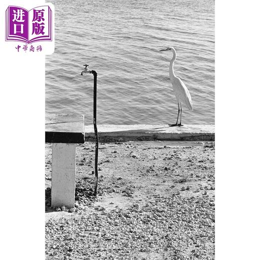 预售 【中商原版】Personal Best (Revised) 进口艺术 埃利奥特 厄威特的摄影佳作(英德法意西) 商品图1