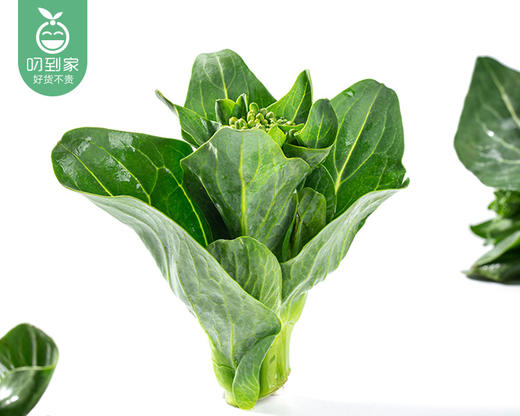 春菜·新鲜苏州青苔（300g±10g/份） 商品图3