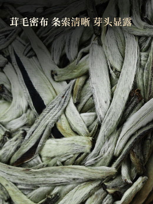 3月7日中午12点【冰岛白毫针】云南白毫银针冰岛古树白茶全芽头临沧核心产区一年仅采一次 商品图9