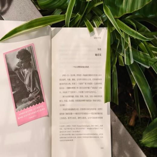 慵懒的鳄梨 商品图4