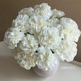 国产花材-【康乃馨】白色