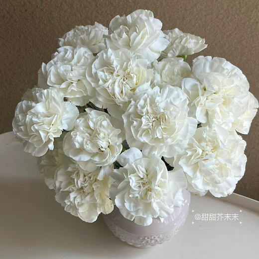 国产花材-【康乃馨】白色 商品图0