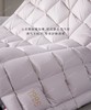 6F堂皇  典藏1986加拿大95白鹅绒春秋被 / 冬被 商品缩略图4