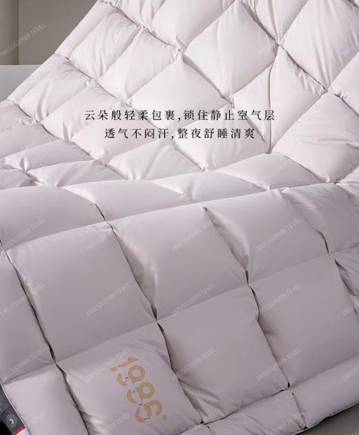 6F堂皇  典藏1986加拿大95白鹅绒春秋被 / 冬被 商品图4