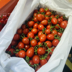 釜山千禧（3斤左右）