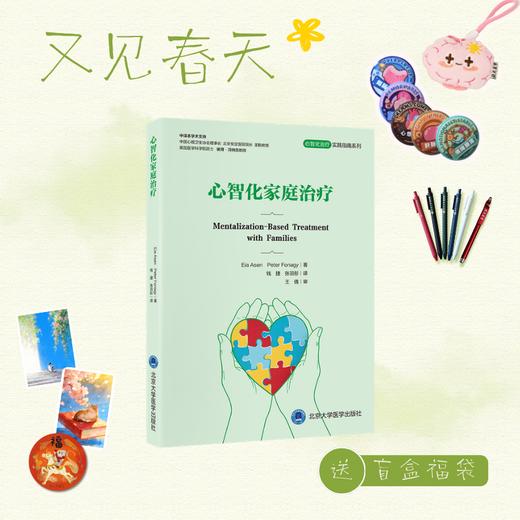 【又见春天】心智化家庭治疗   译：钱捷　张羽彤   北医社 商品图0
