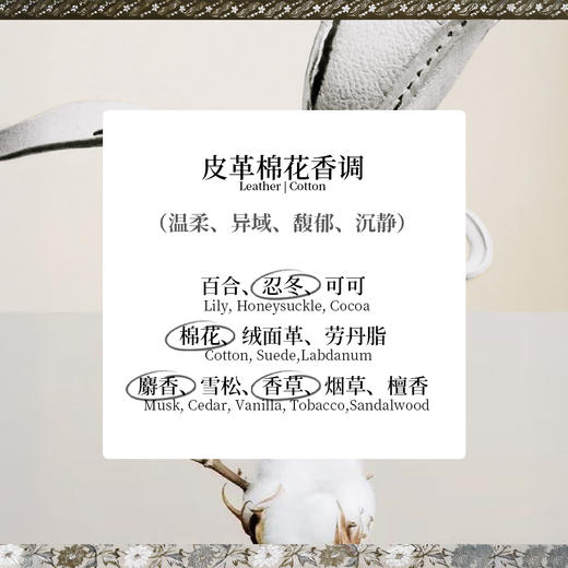 JEBILLY若伯利 婆罗沉香/苏门答腊广藿/爪哇雨林/娘惹黄姜/龙目珍珠香水30ml 商品图13