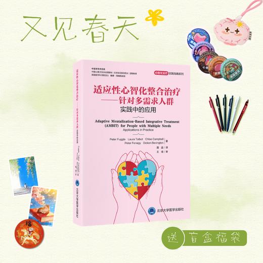 【又见春天】适应性心智化整合治疗——针对多需求人群　实践中的应用    译：聂晶   北医社 商品图0