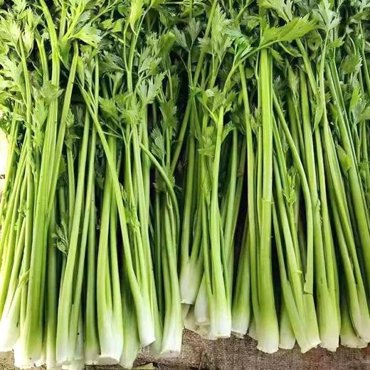 【顺丰/京东】正宗山东章丘鲍芹 特级芹菜 新鲜嫩芽 鲍家村鲍芹 榨汁推荐 3斤礼盒装  - ANXNY 商品图1