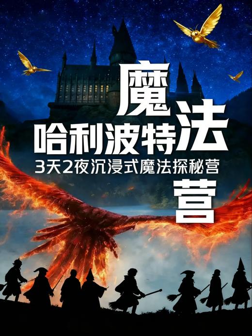 已成团4.4-4.6！早鸟立减200！3天2夜「哈利波特」主题营《霍格沃茨 · 魔法学院》沉浸式魔法探秘营，将魔法世界搬进真实的欧式古典城堡 商品图9
