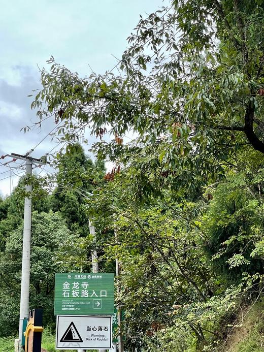 WeCycle 成都 | 3.8金龙寺有氧局 商品图5