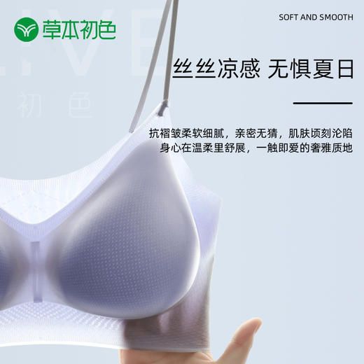 大爆款！【三件装】草本初色超薄V领舒适聚拢无痕一片式文胸小吊带内衣欧若风 宽肩带/细肩带321/322 【限时加赠内裤一条】 商品图9