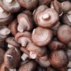 【ZCWJ】  鲜香菇 新鲜香菇肉厚味美个头均匀现摘新鲜蔬菜 商品缩略图1