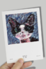 喵内明信片 绽放猫bj 商品缩略图0